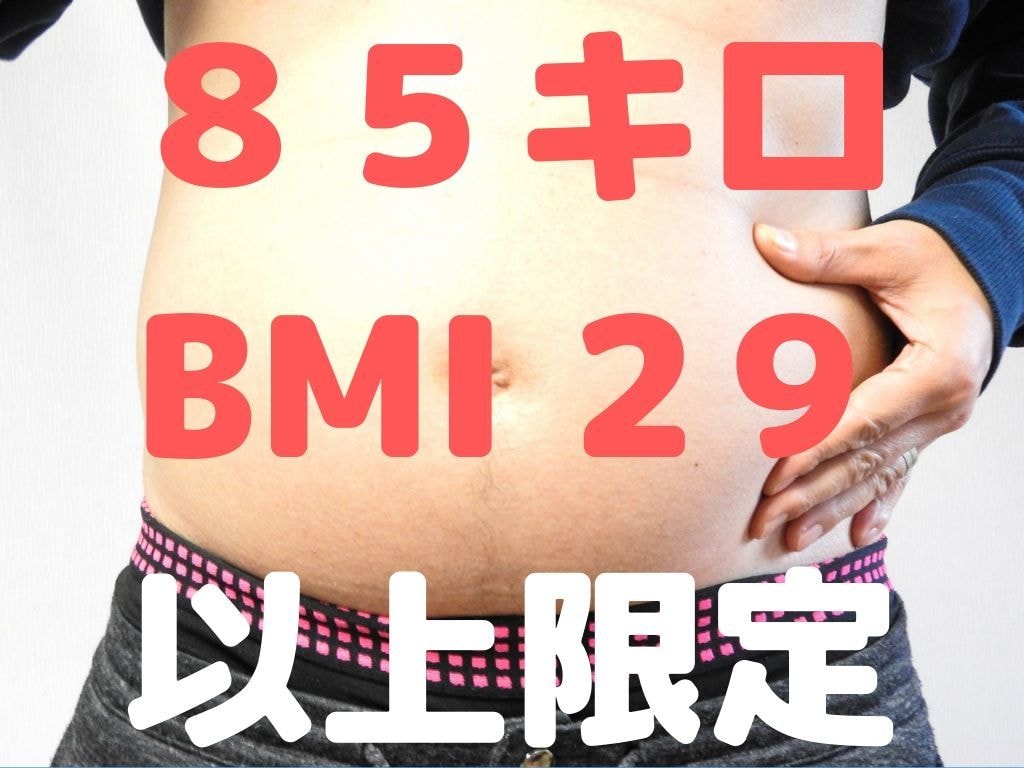 ８５キロ以上限定★のんびり手帳ダイエット教えます ９ヶ月で１８キロ減！忙しすぎてストレス食いで太った方向け イメージ1