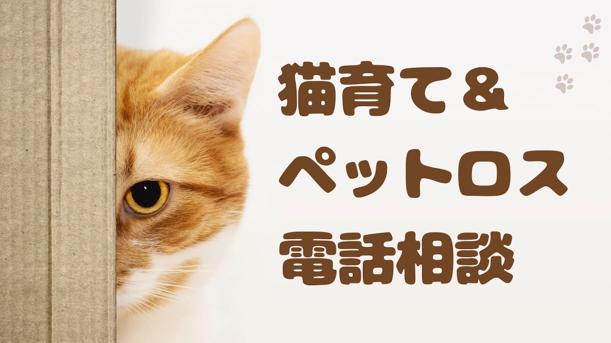 猫育て＆ペットロス電話相談承ります 愛猫との幸せな日々をサポート。悲しみも共に乗り越えましょう。 イメージ1