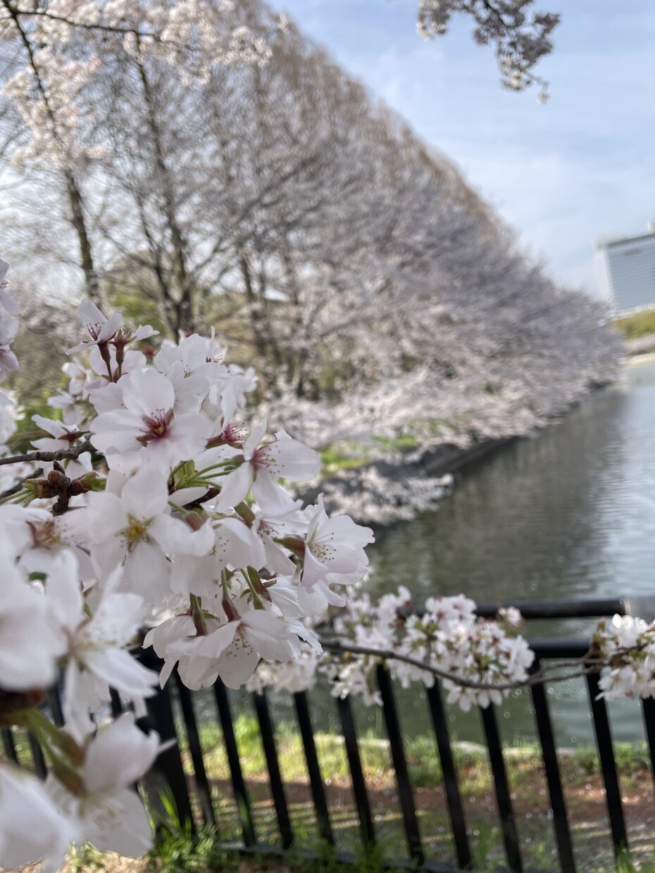 写真提供します お好みの写真あれば御提供させていただきます！ イメージ3