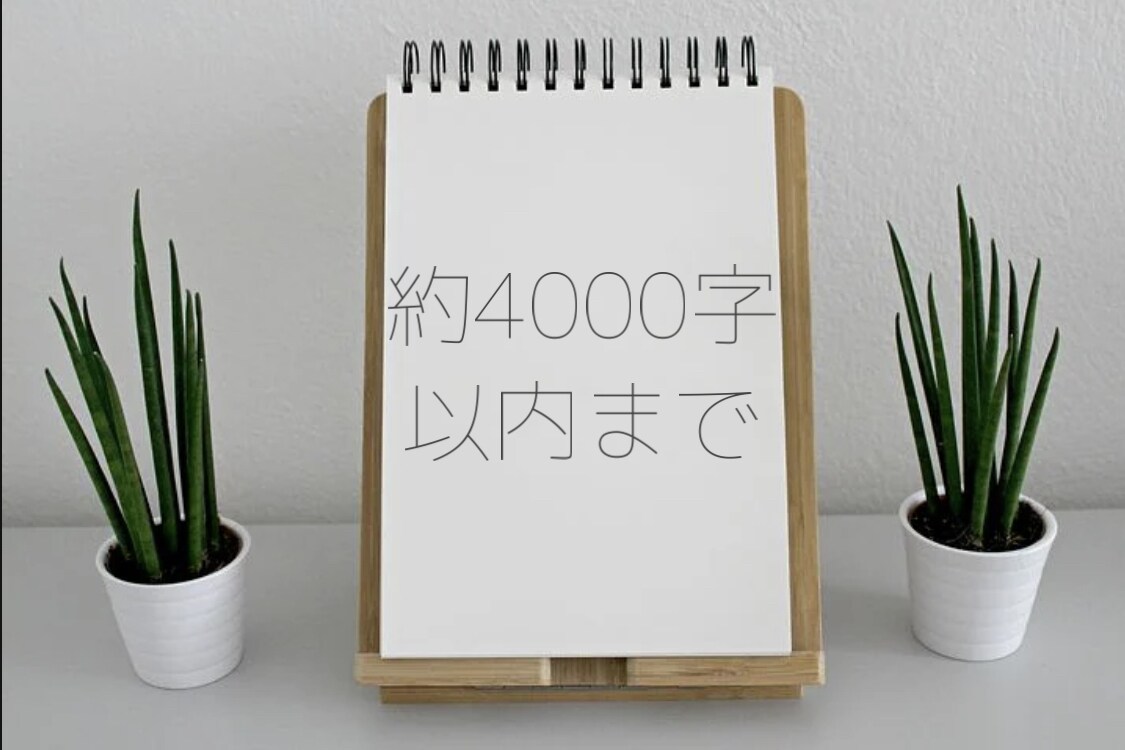 文字起こし【Word（.docx）】します パソコンが嫌いな方、面倒な方、文字数次第で即日可能です！ イメージ2