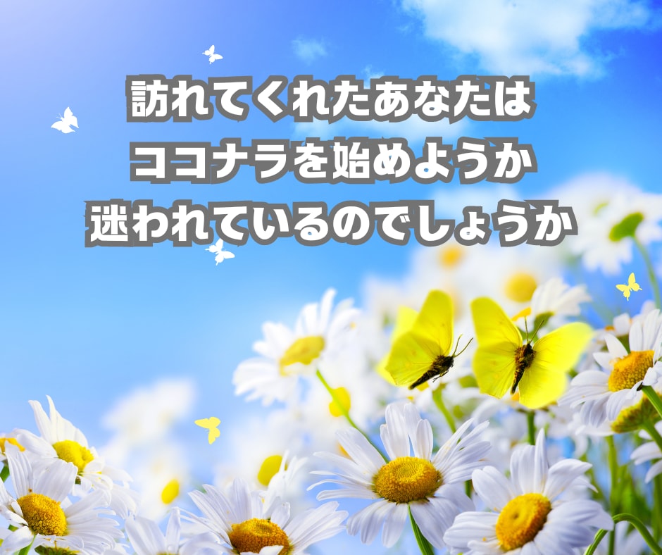 不安を安心に✨ココナラ初心者様用ガイドお届けします ココナラはじめの一歩を安心して踏み出せる！実践が生んだガイド イメージ3