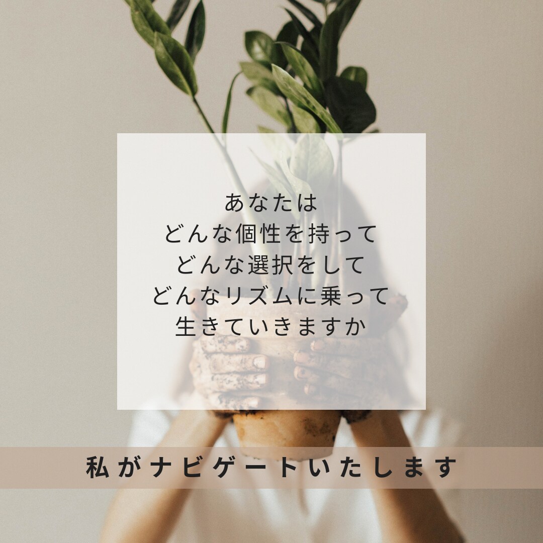あなたの個性に合った輝く人生をナビゲートします あなたの個性を知り、幸せな人間関係を築きましょう イメージ3