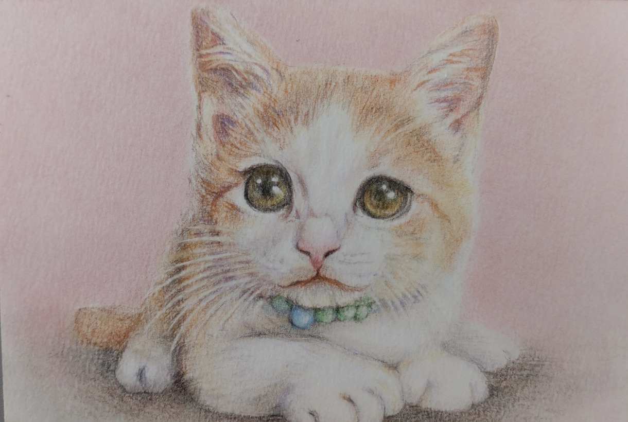 ペットの似顔絵を色鉛筆で描きます 大好きなペットとの思い出を色鉛筆画にしてみませんか？ イメージ4