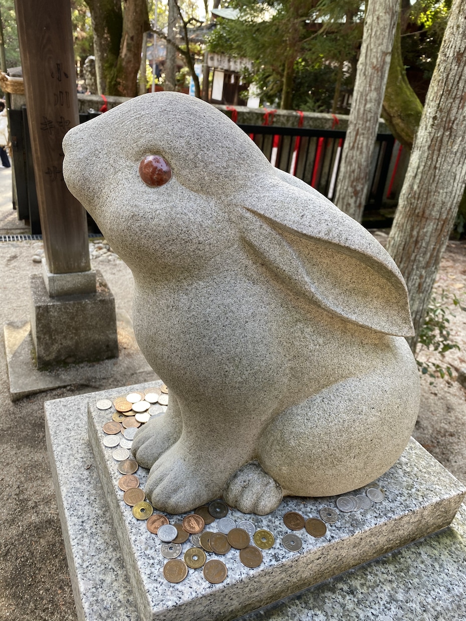 あなたのお悩み満足するまで聴きます 現役看護師があなたのお話を聴きます イメージ2