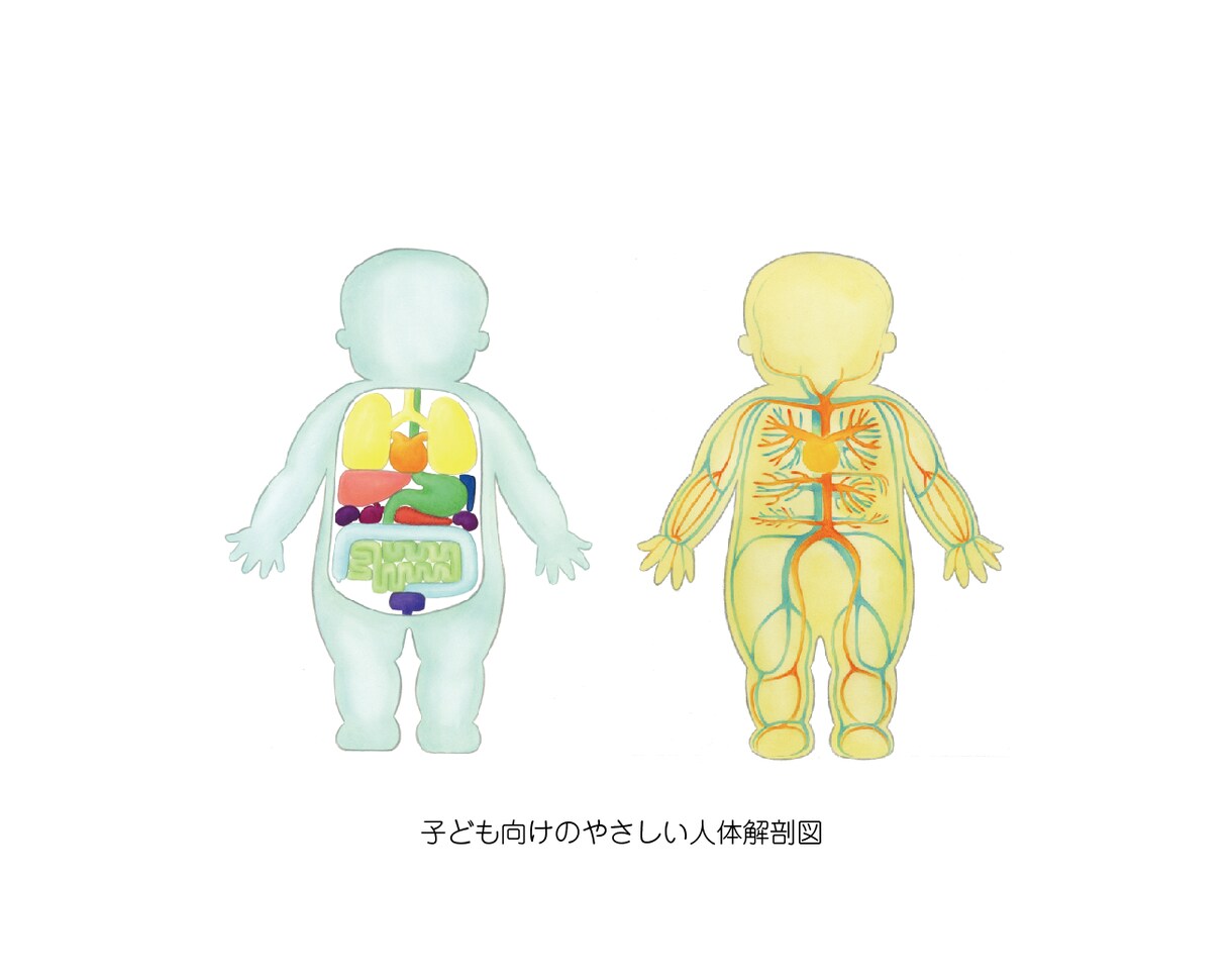 分かりやすく優しい雰囲気の医療イラストを作成します フリー素材にはない専門的な病気説明・セミナー用パワポ資料に! イメージ4