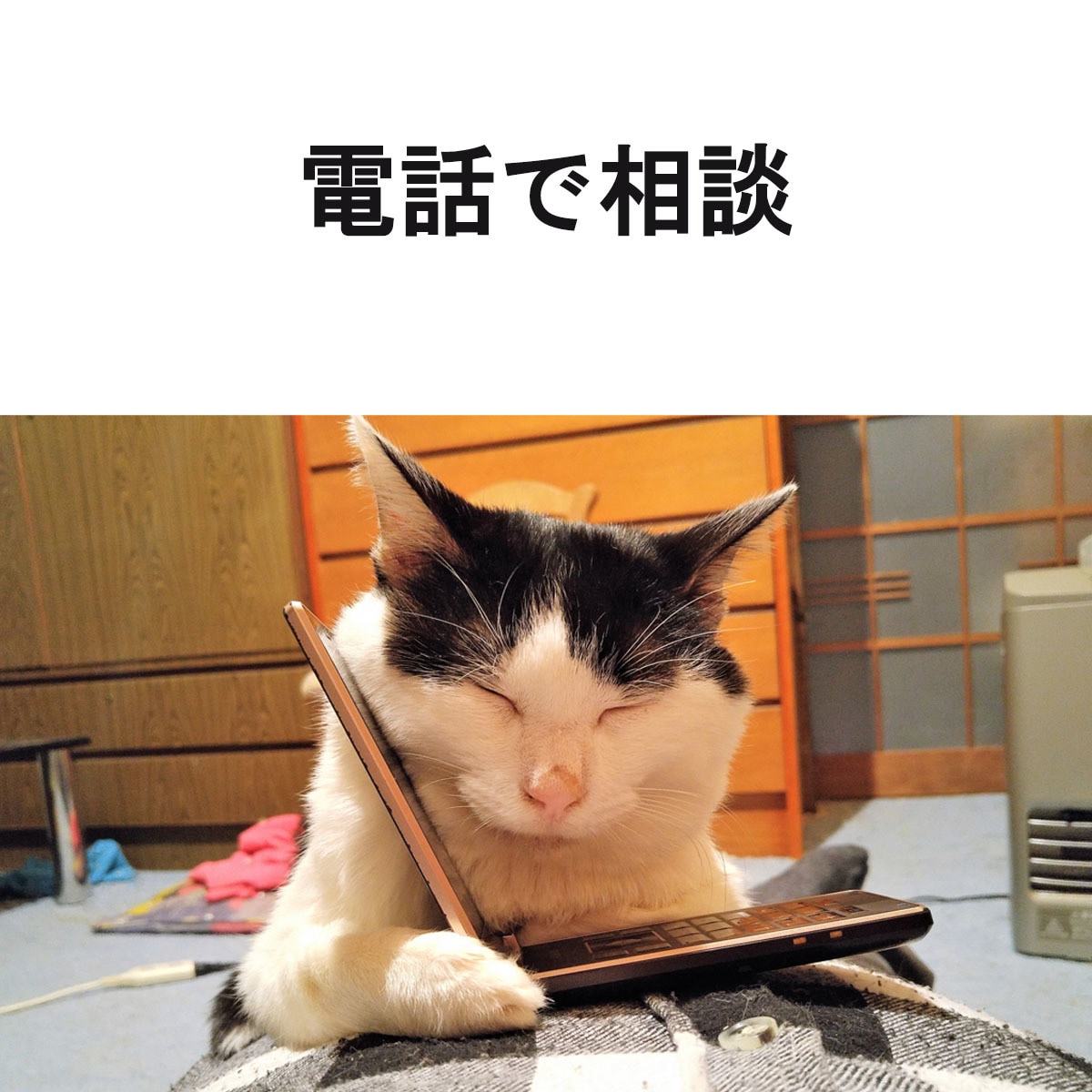 人間関係の悩みをお聴きします 否定されたくない、傷つくことに疲れたあなたへ イメージ1