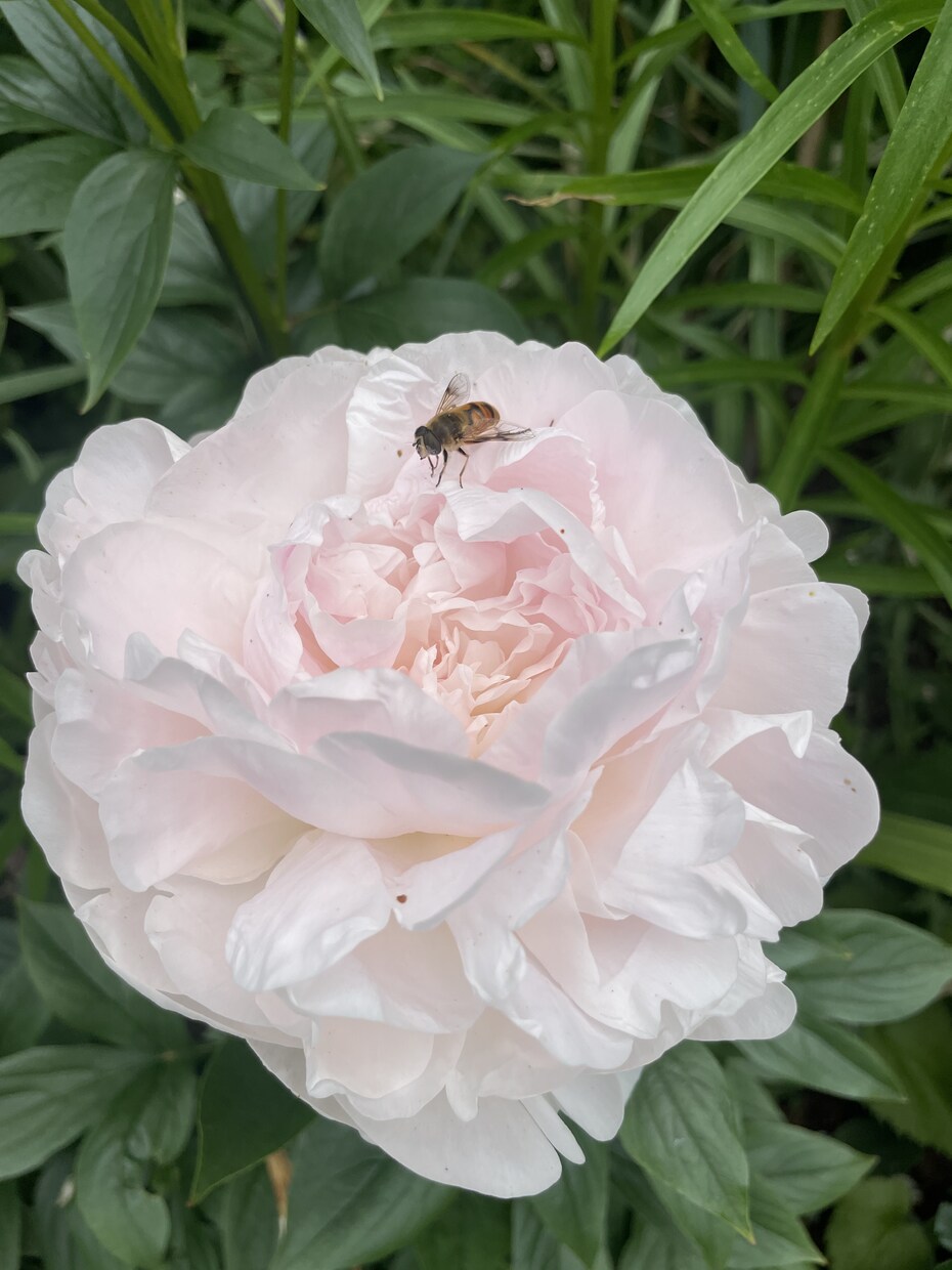 あなたの恋愛の悩み解決します モテモテ女子、モテモテ男子になり薔薇色人生getしましょう イメージ3