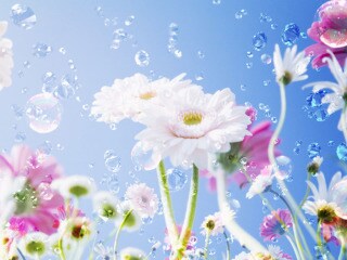 あなたのお悩みに寄り添います 子ども・配偶者が発達障害・過食嘔吐・BPD・鬱でお悩みの方 イメージ1