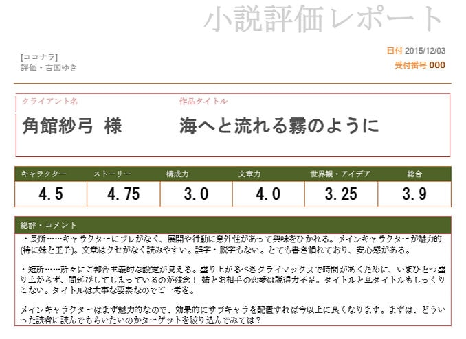 創作小説のチェックシート評価うけたまわります 具体的な評価が知りたい方に、プロ作家の目から見てご回答します イメージ2