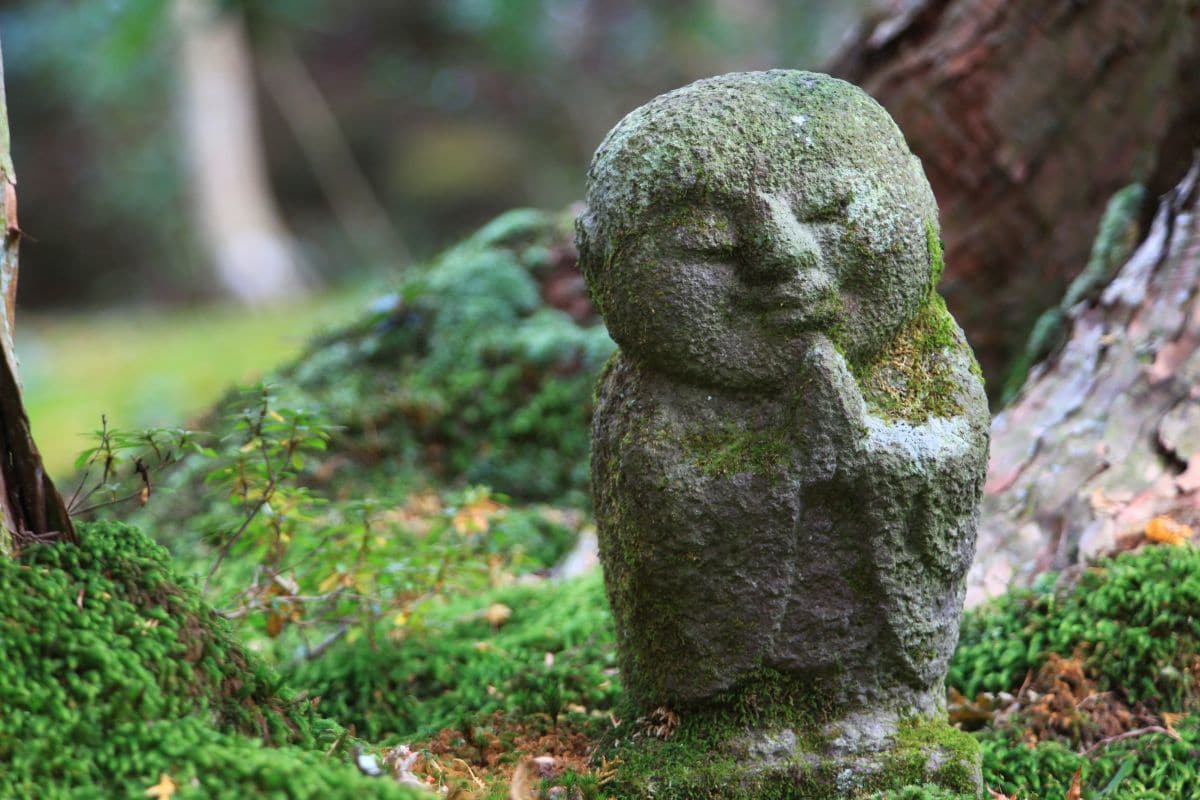 悩み相談/愚痴/アドバイス　承ります 愚痴、悩み、恋愛、人生への不安など何でも話してください イメージ2