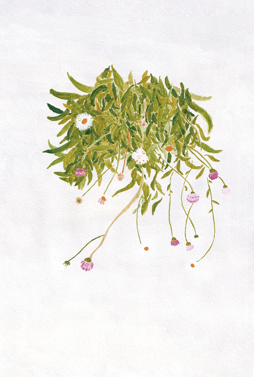 愛らしいお花の絵を描きます 絵の具で描く、繊細でやさしい心温まるお花の絵。 イメージ9
