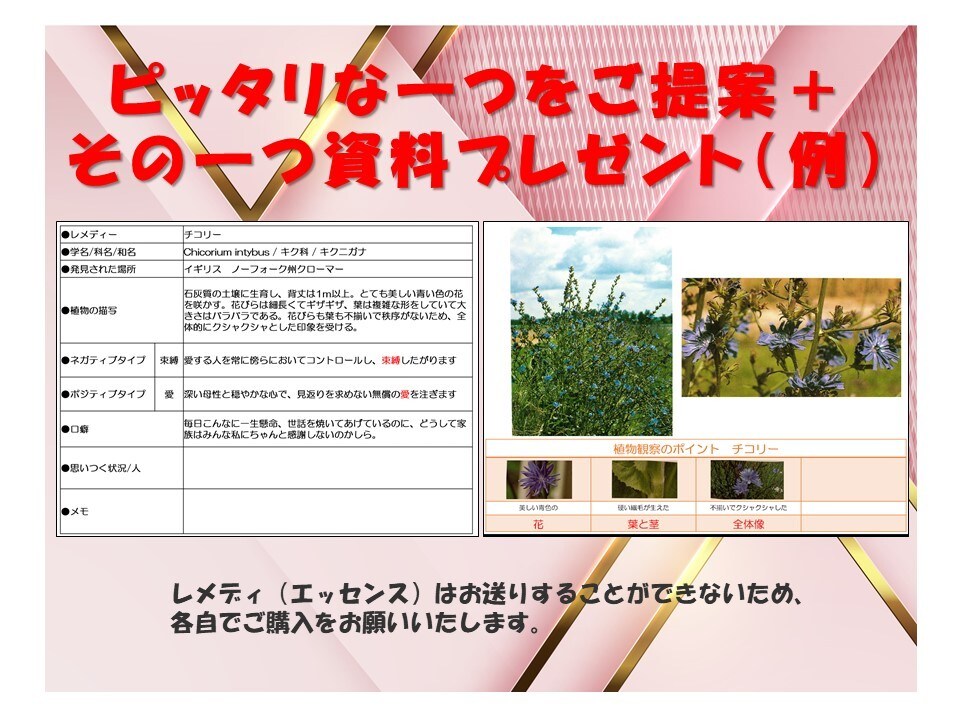 あなたにぴったりのフラワーエッセンスをご提案します ☆本当の自分と向き合い、自分らく生きいと願う方へ☆ イメージ4