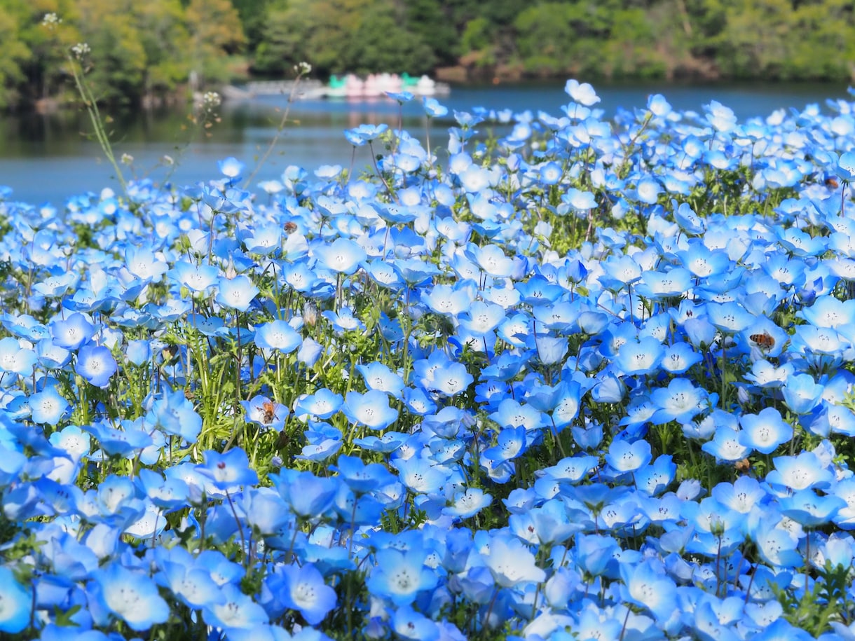 国内旅行の相談にのります 貴方の趣味に合った内容にします イメージ3