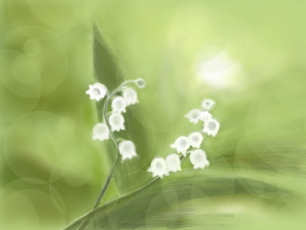 植物 花のイラストを描きます あなたのお気に入りの植物 花のイラストを描きます。 イメージ4