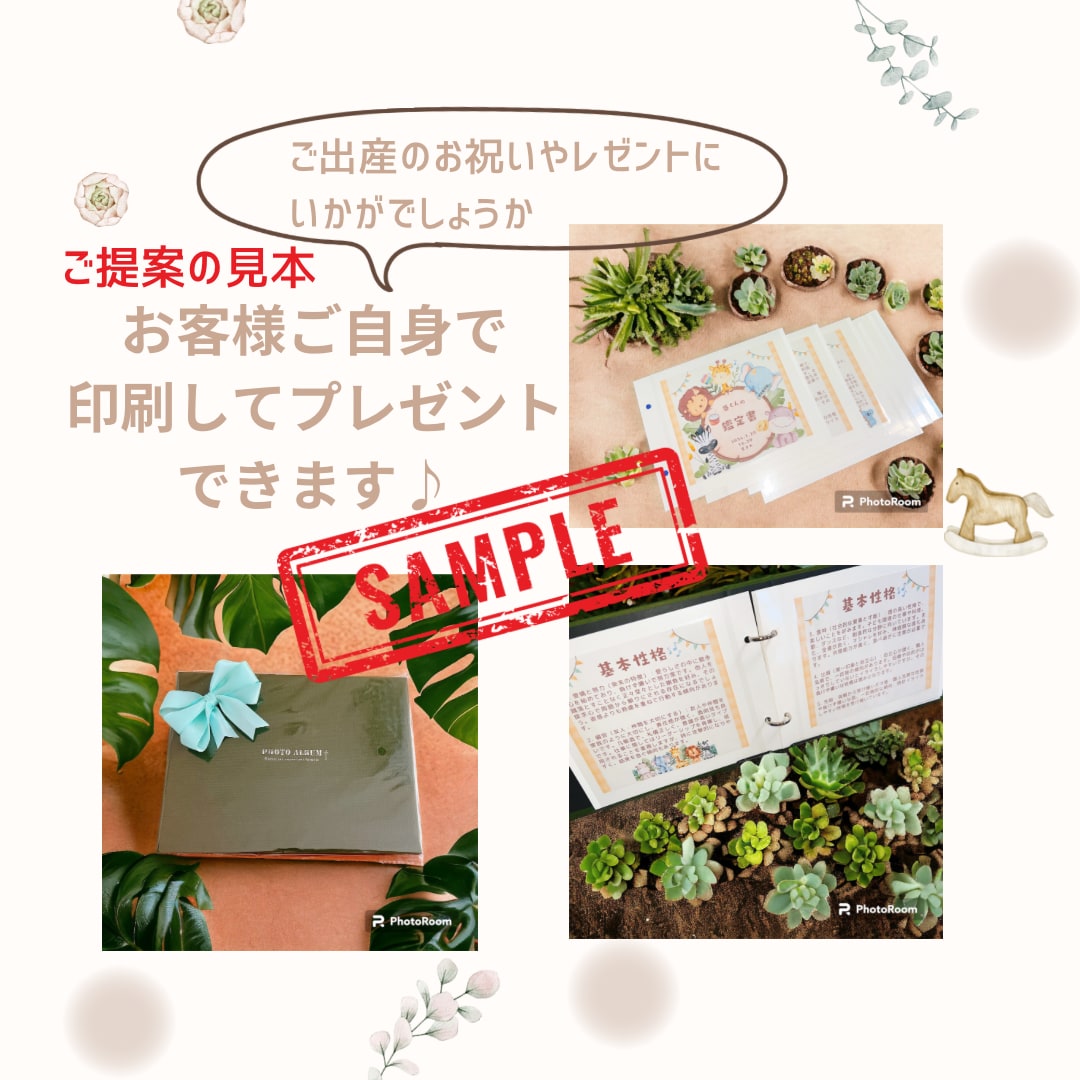 ご出産祝いのプレゼントに喜ばれています パパママへ大切なお子さまの特性、天才性を知り子育てをサポート イメージ3