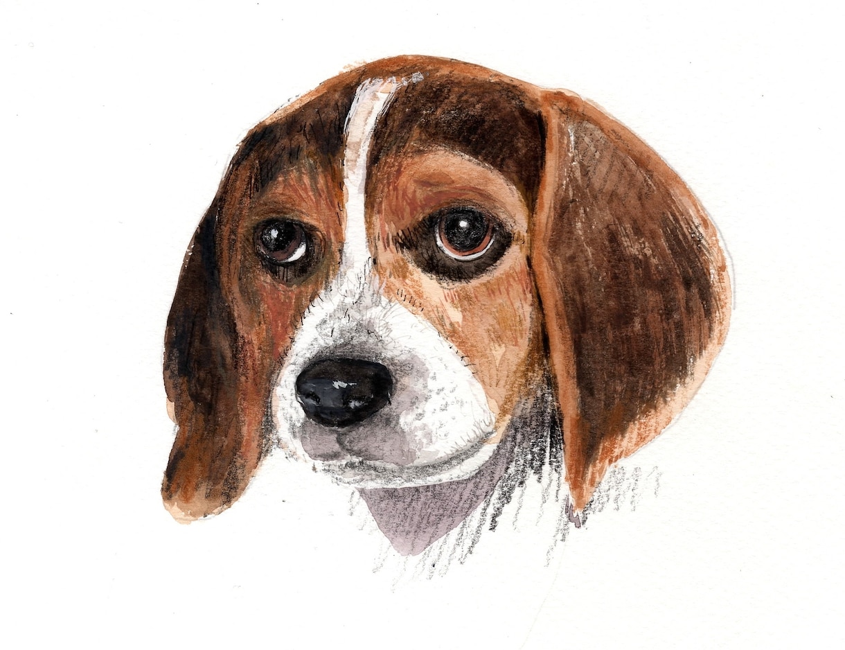 亡くなったペットのイラストを手描きで仕上げ致します 思い出の猫ちゃんやワンちゃんを忘れないであげたいですね。 イメージ5