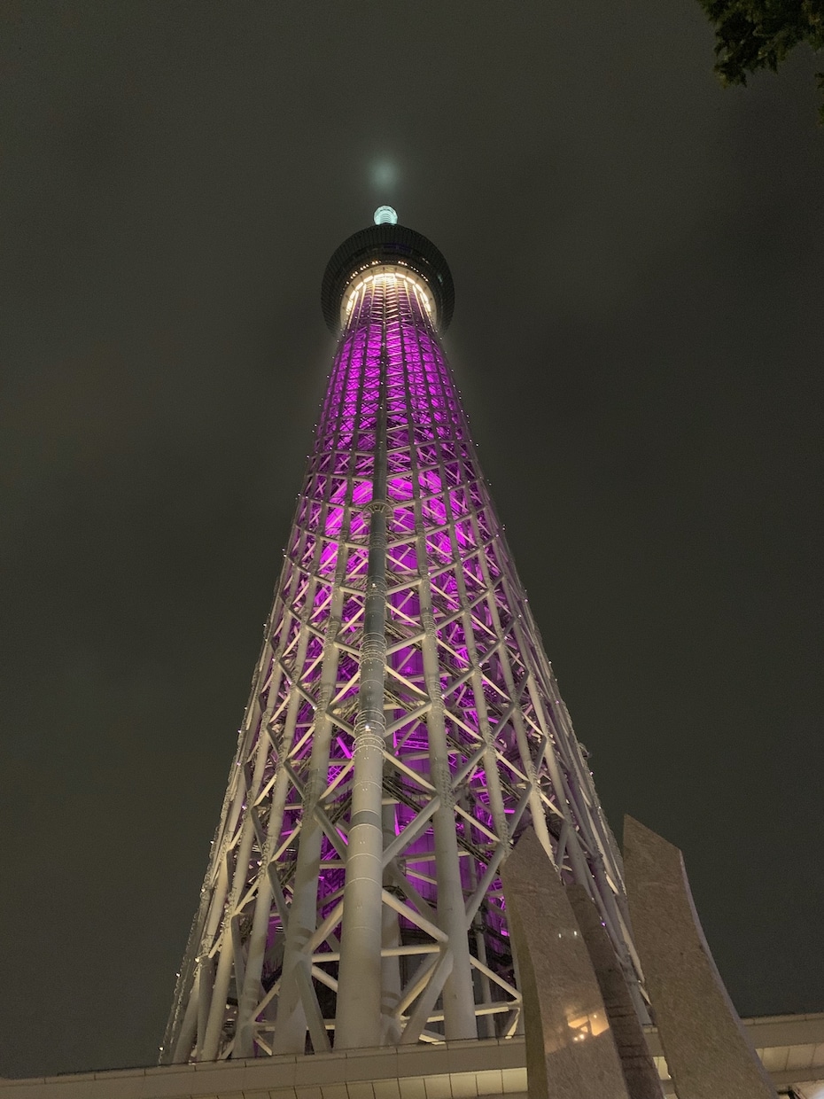 東京都内のデートプランをいくつか提案いたします あなたとお相手に合うプランをオーダーメイドで考えます イメージ2