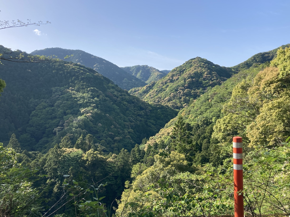 和歌山県への移住・二拠点生活の相談に乗ります Iターン当事者として現地から生の声をお届けします イメージ2