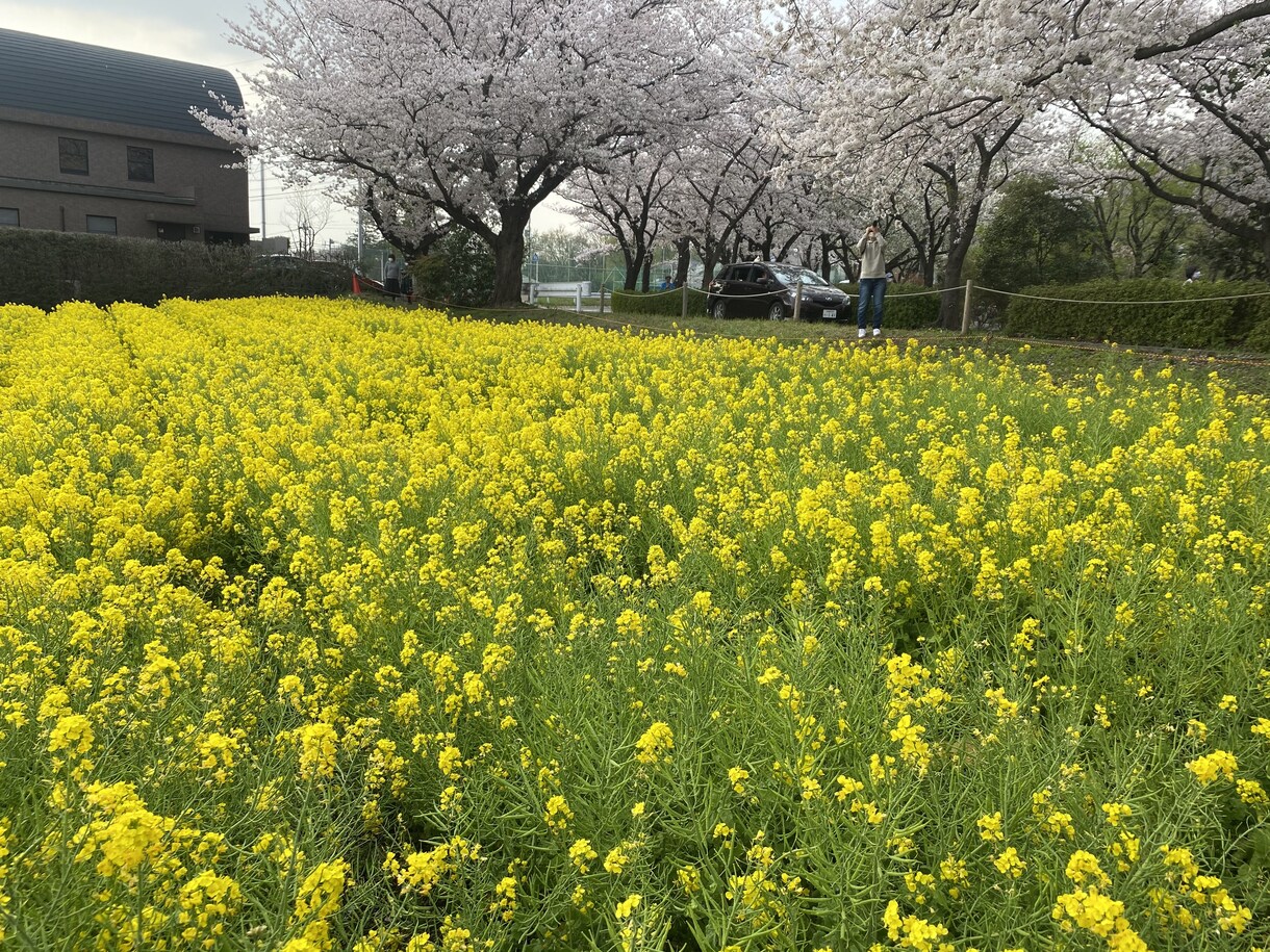 ピアス開けたくなるのわかります 開けたくなるのは自傷行為を我慢してる証拠。 イメージ1