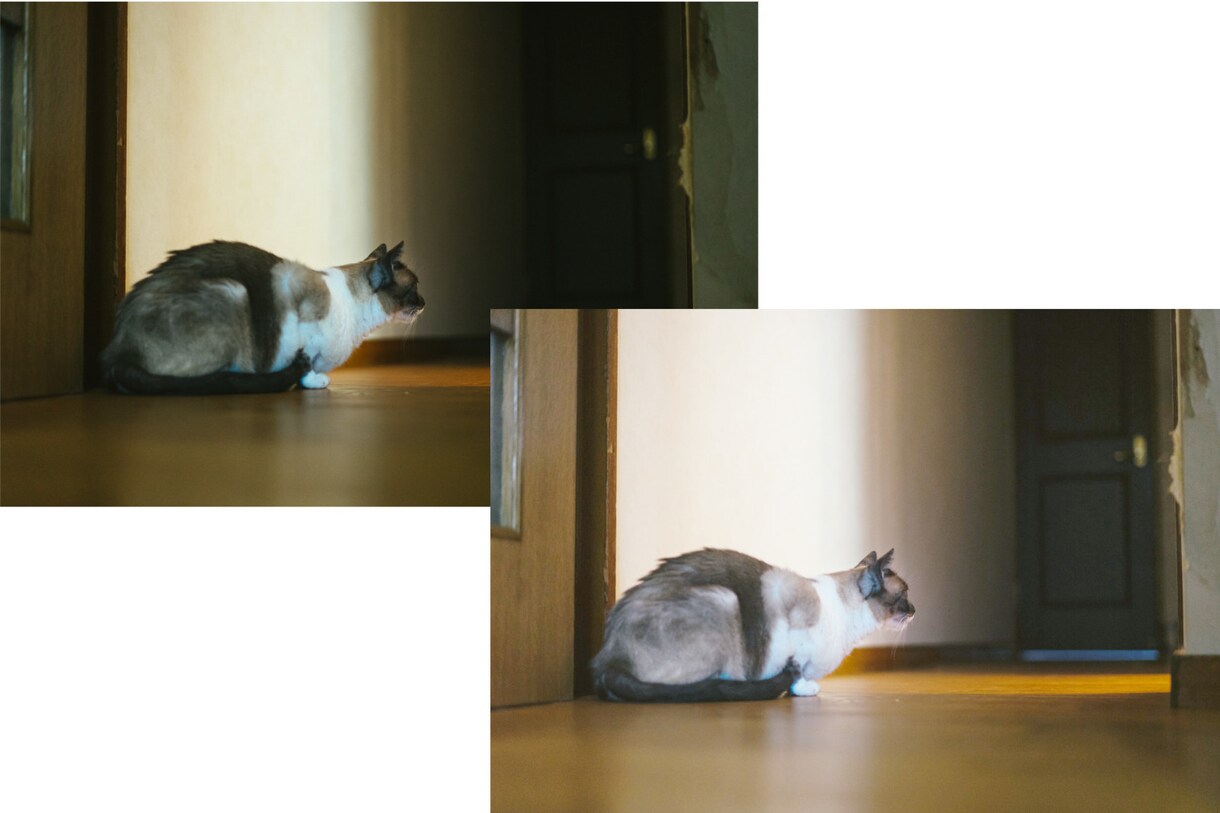 4枚1000円★暗い写真を明るくします 撮った写真を明るくしたい！そんな困ったをお手伝いします！ イメージ4