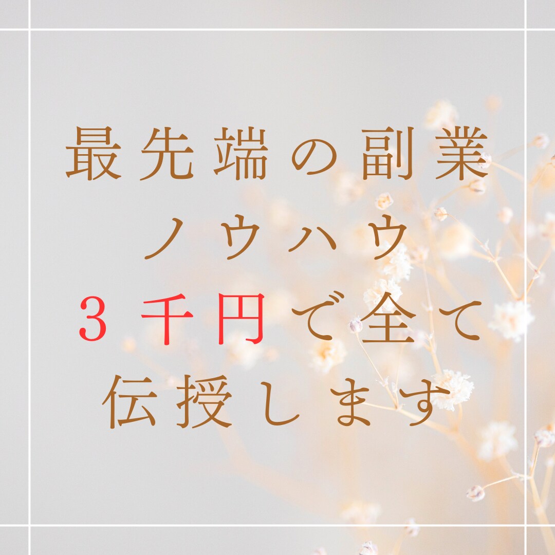 日給１万円を達成するための副業マニュアル伝授します ＜＜毎日着実な利益を積み上げる＞＞ イメージ1