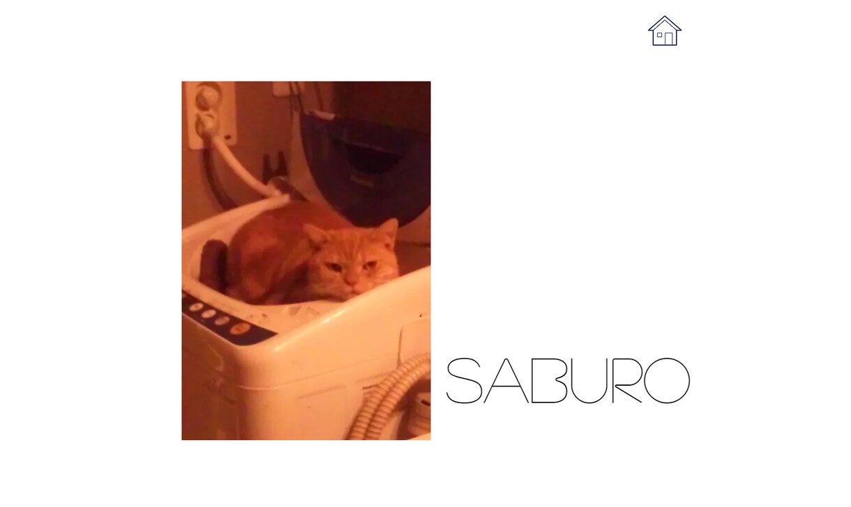 幼・保育園の写真DLサイト/卒園アルバム制作します 個人情報流出を防ぐロックサイトの制作と卒園アルバムのパック イメージ3