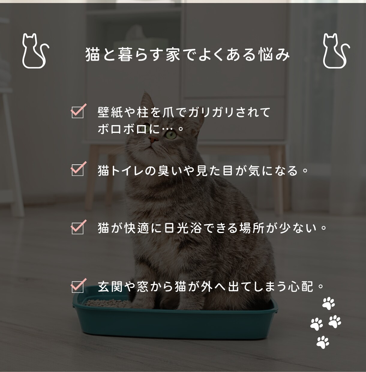 猫と暮らす家｜建築士が理想の間取りを添削します 猫も人も快適に。動線・日向・隠れ家を建築士が設計目線で診 イメージ2