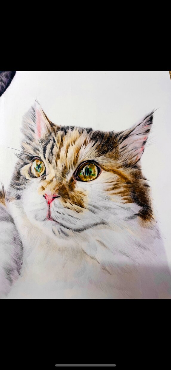 ペットのリアルな似顔絵を描きます ポストカードサイズ。世界に一つ、心に残るペット似顔絵。 イメージ2