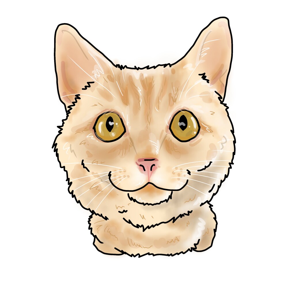 猫のイラスト描きます 猫ちゃんを2頭身にデフォルメして可愛く描いています イメージ2