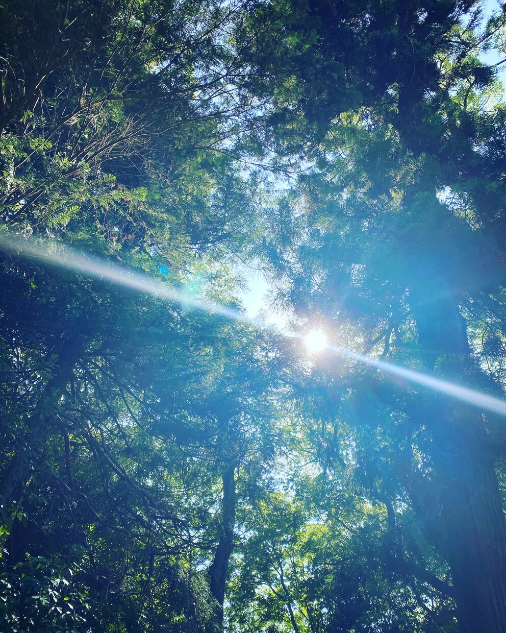 強力霊感霊視、オラクル、タロットで本格鑑定します じっくり寄り添いながら、あなたの不安を癒す鑑定します⭐︎ イメージ4