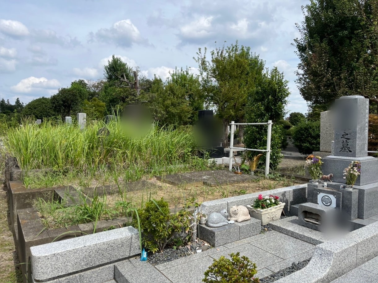 お墓参り前の除草剤の散布いたします そろそろお墓に行こうかな？その前に除草剤散布＆撮影いたします イメージ1