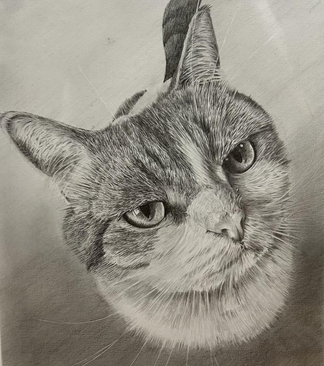 鉛筆画でペットのリアル似顔絵を手描きで作成致します 犬・猫を鉛筆で細部まで丁寧に描きます！ イメージ10