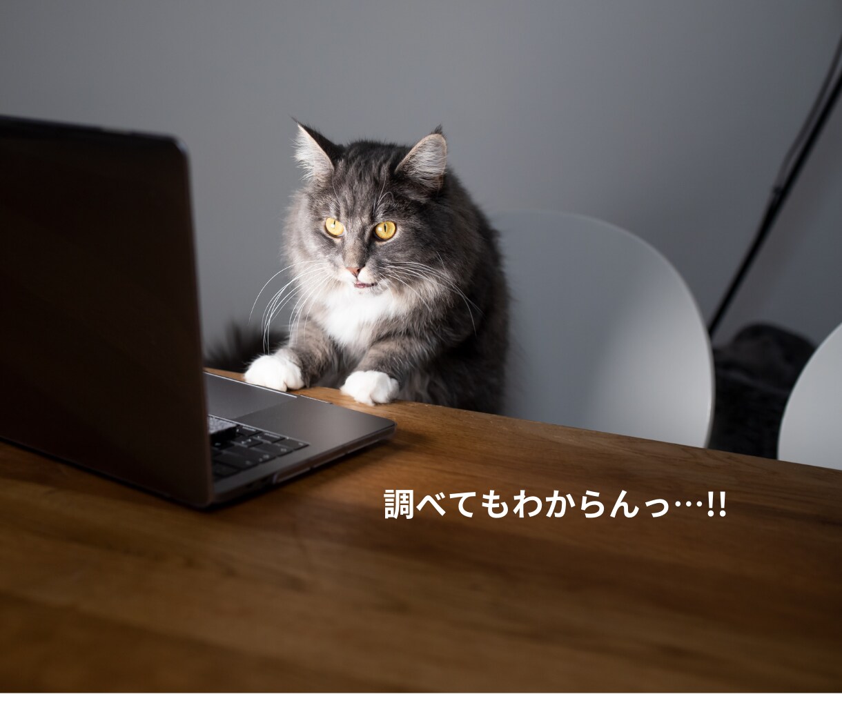 計測環境のご相談承ります Google広告やGA4も最短即日対応。今すぐに相談ください イメージ4