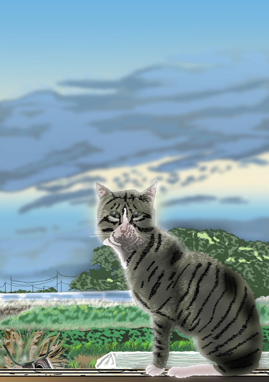 猫の写真を元にイラストを描きます アイコン・表示・プレゼントなど イメージ4