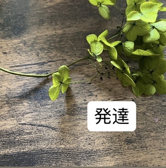 発達しょうがいとの付き合い方をアドバイスします 発達しょうがいを抑えるではなく付き合えるように助言します イメージ1