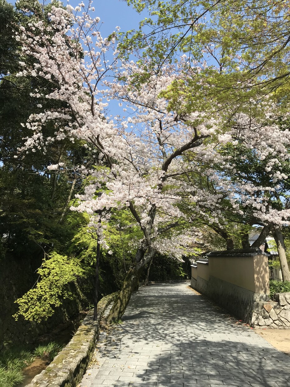 山口県とその周辺のスナップ写真を撮影します スマホで撮影した普通の写真が必要な方へ イメージ7