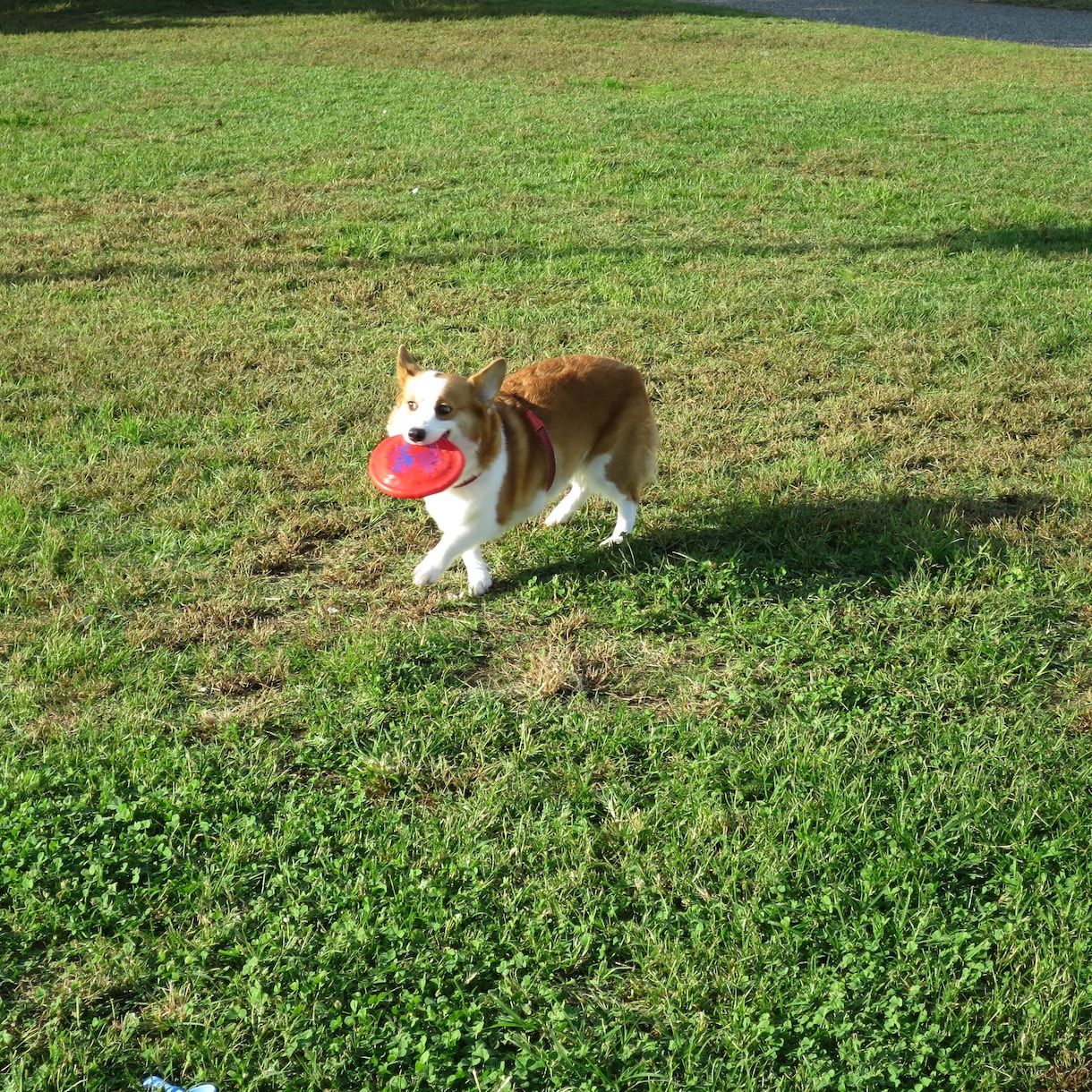 私の写真売ります 心に残らない写真を撮ってます。 イメージ2