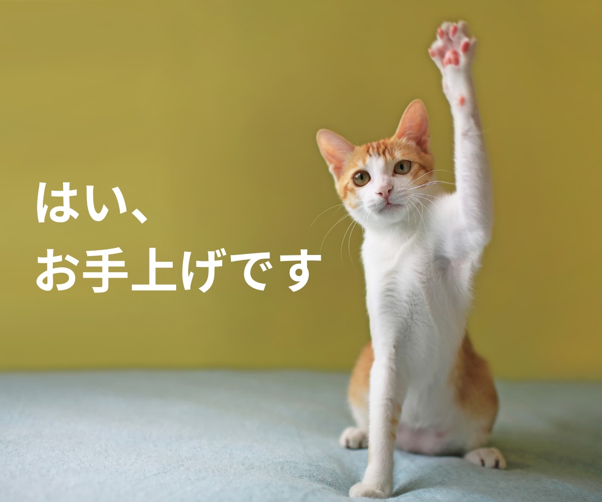 計測環境のご相談承ります Google広告やGA4も最短即日対応。今すぐに相談ください イメージ5