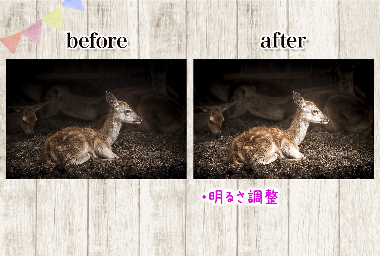あなたの大切な家族写真・思い出の写真を微修正します 明るさ調整、美顔加工、不要物除去など イメージ5