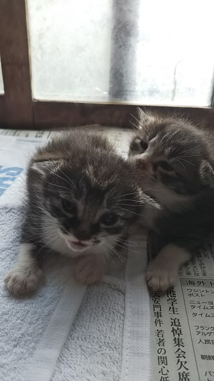 つらい気持ち、悲しみから愚痴まで何でも聴きます 話してスッキリ、お悩みごとの改善に尽力します。お気軽にどうぞ イメージ1