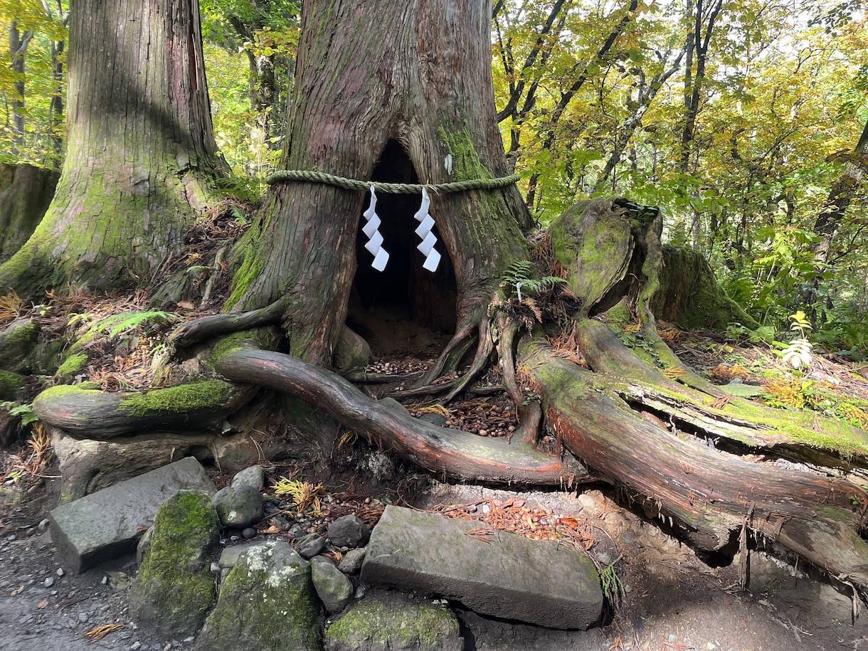 神主が正しい神社参拝⛩️作法をお教えします 神社参拝してますか？正しい作法で神様とのご縁を深めましょう！ イメージ6