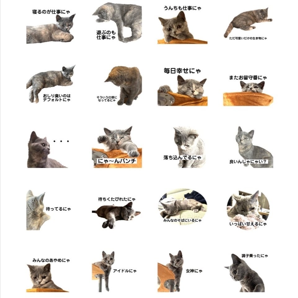 LINEスタンプ作成します ペット・ご家族・結婚式等オリジナルスタンプを作りたい方へ イメージ2