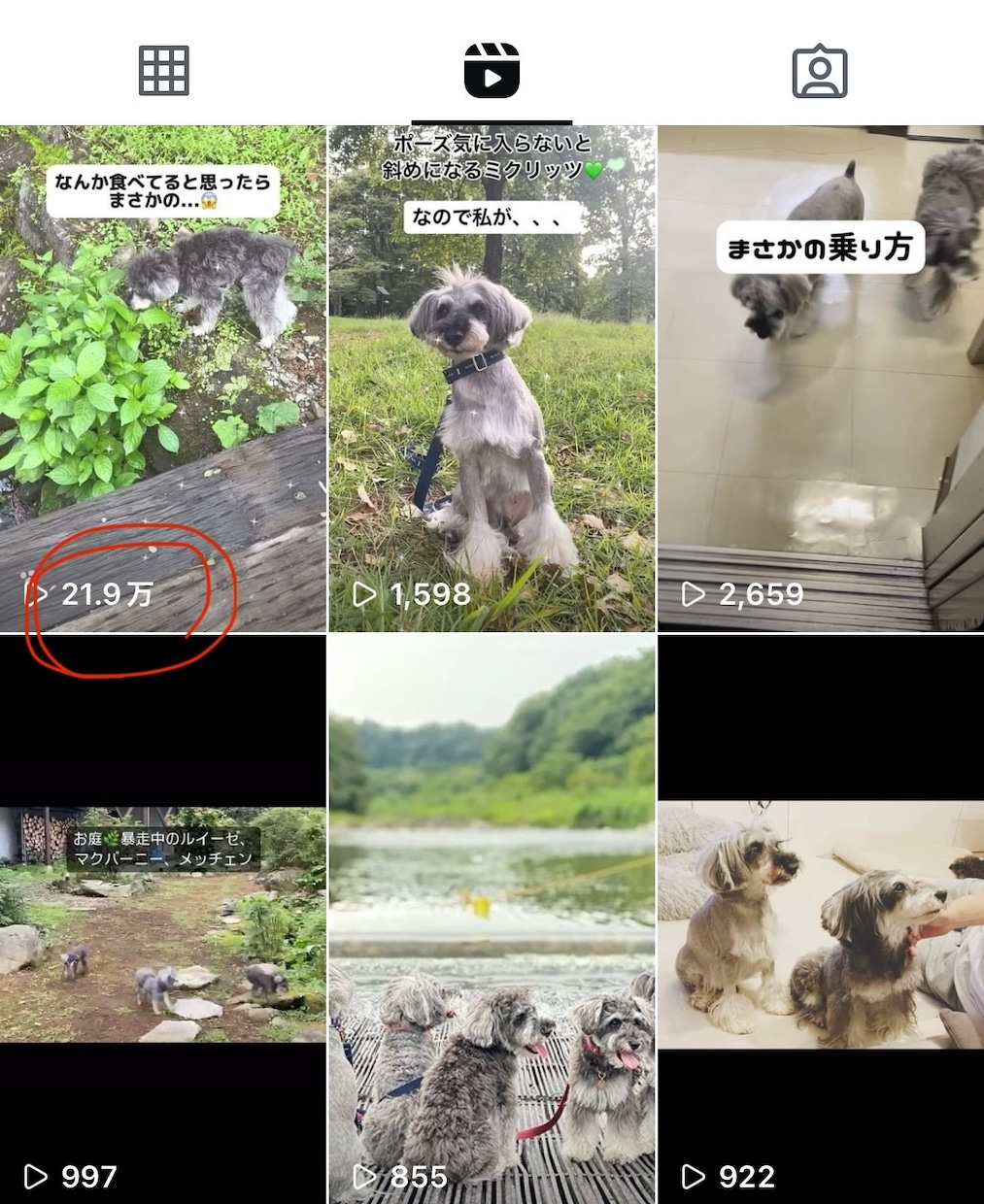 プロがインスタグラムの運用代行をします 数値でなく『売上や利益、集客』に繋げる成果重視の運用 イメージ3