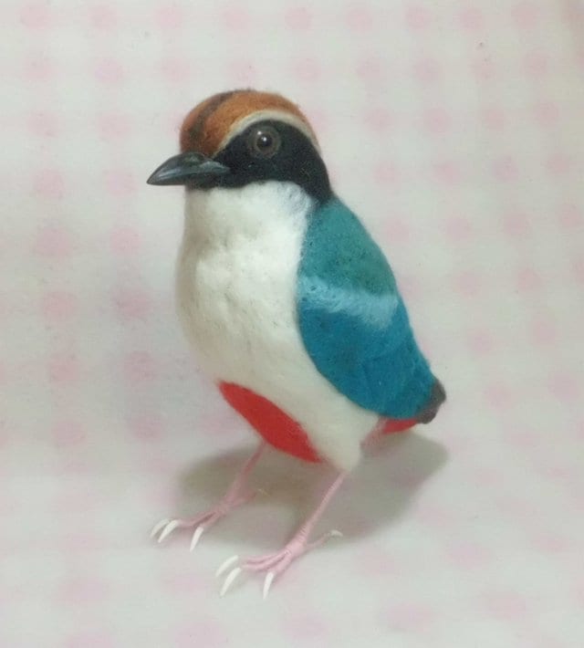 貴方のお気に入りの野鳥の羊毛フィギュアを制作します 普段ショップではあまり見かけない「羊毛の野鳥」を制作します イメージ9