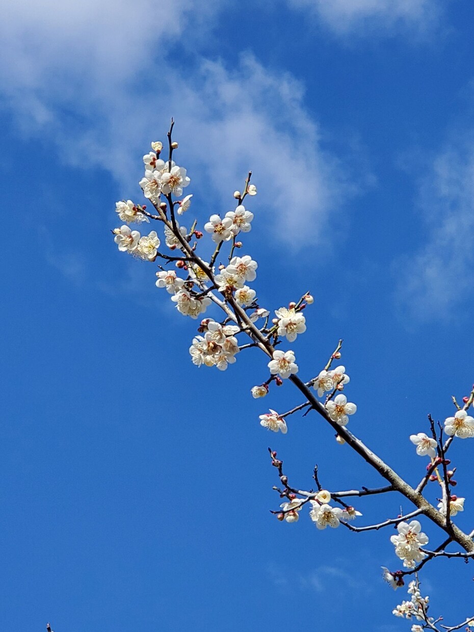 私ってどこか他の人と違うの？その不安に寄り添います その不安…私と二人でまずは半分こにしてみませんか？ イメージ1
