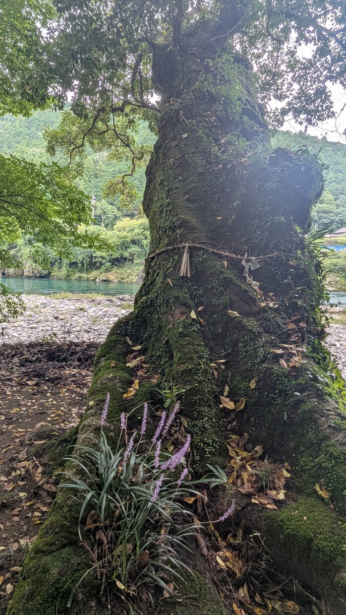 涙がでるほど安心する場所がここにあります 静かなときをすごしませんか　1分～OK イメージ2