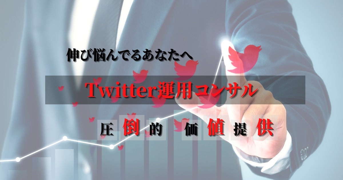スキマ時間での圧倒的なTwitter運用を教えます 2週間の徹底コンサルでファン化を学べます イメージ1