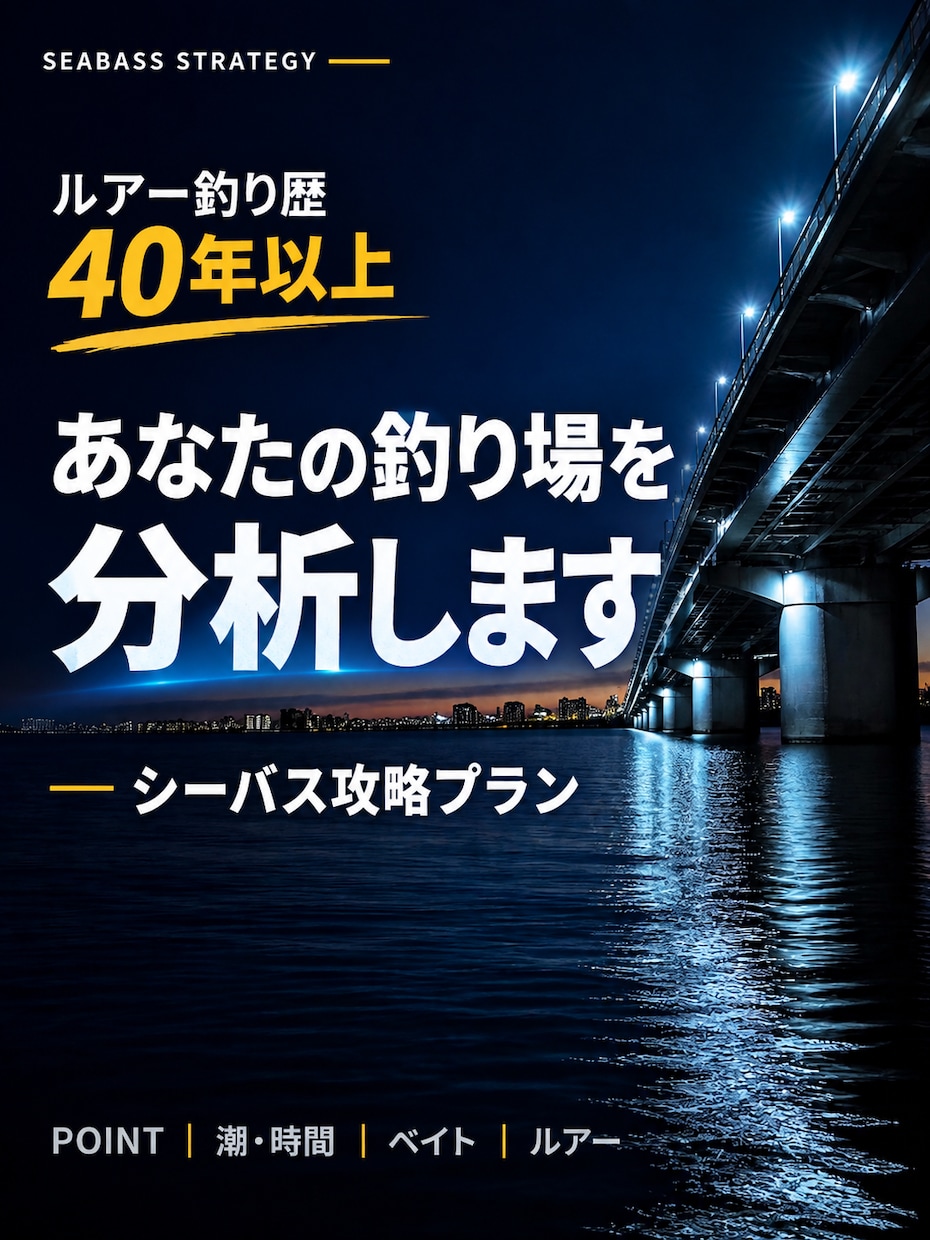 あなたの釣り場を分析！シーバス攻略プランを作ります 40年以上の経験から、ポイント・潮・ルアーなどを個別提案 イメージ1