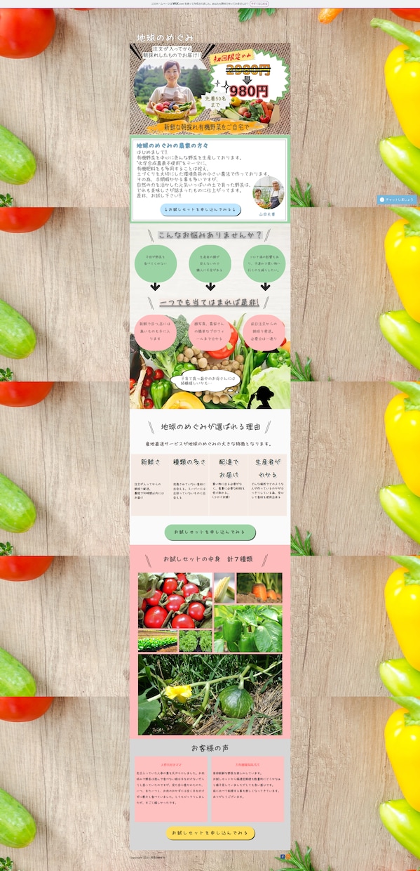 Wixで低予算で集客に強いLP制作いたします 内部SEO対策、キーワード選定からマーケティングのお手伝い イメージ5