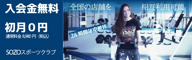 目的に沿った見やすいバナーを作成します シンプルでメリハリのついた人の目に留まりやすいバナーです。 イメージ2